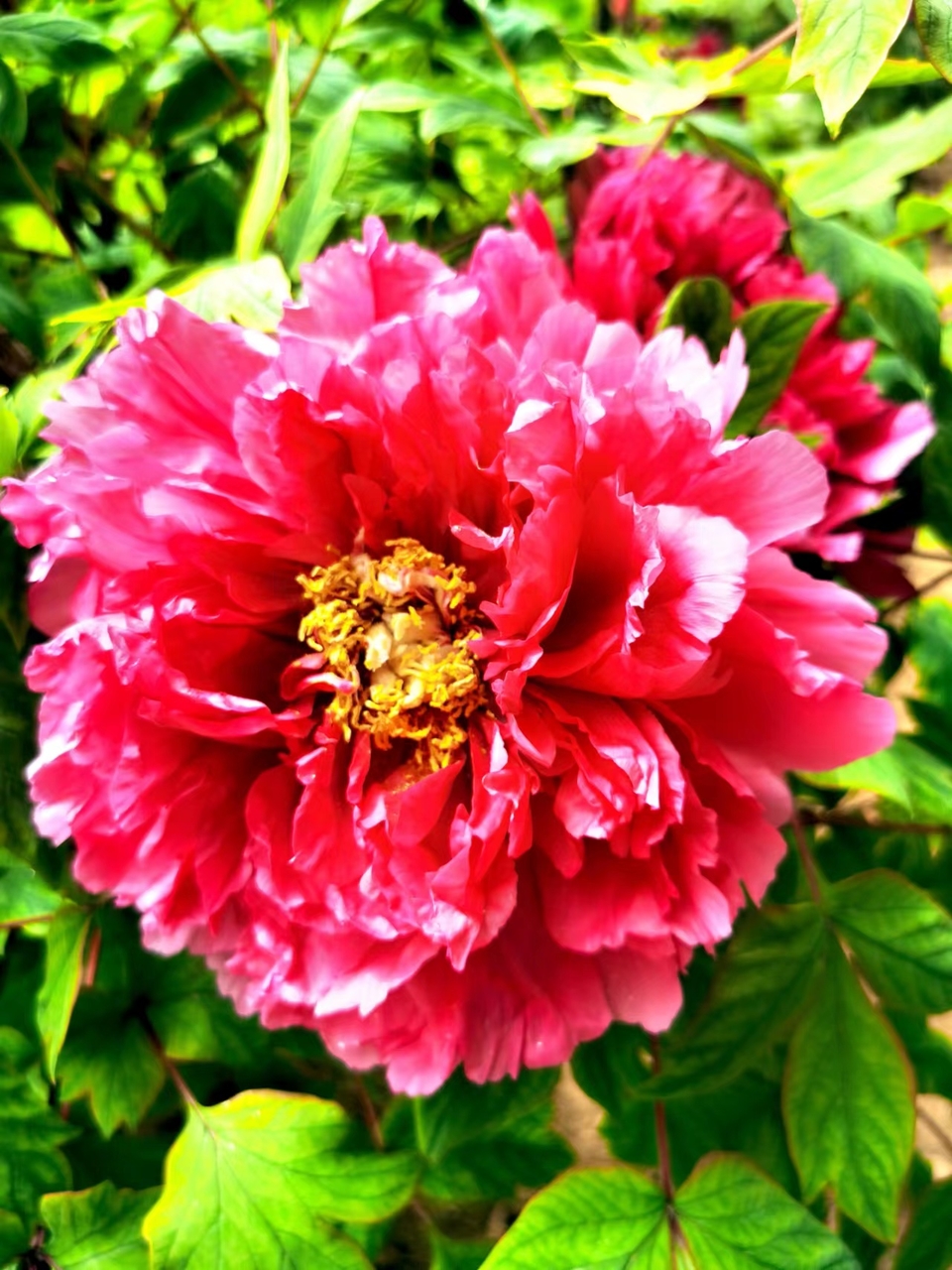 OyJ_FBqdlnjk191dHFX0l3-i7L71rW-oqJiqOSmCK8FYIvgYTSDhwo2SwXB5viLx