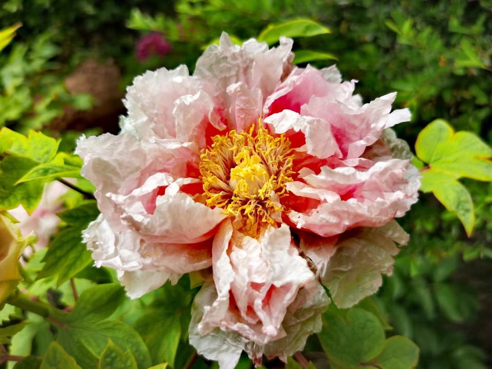 OyJ_FBqdlnjk191dHFX0l6LQbc7bGDS3C9033FD74rpKMZKpd8loU3lNQBVnaXew