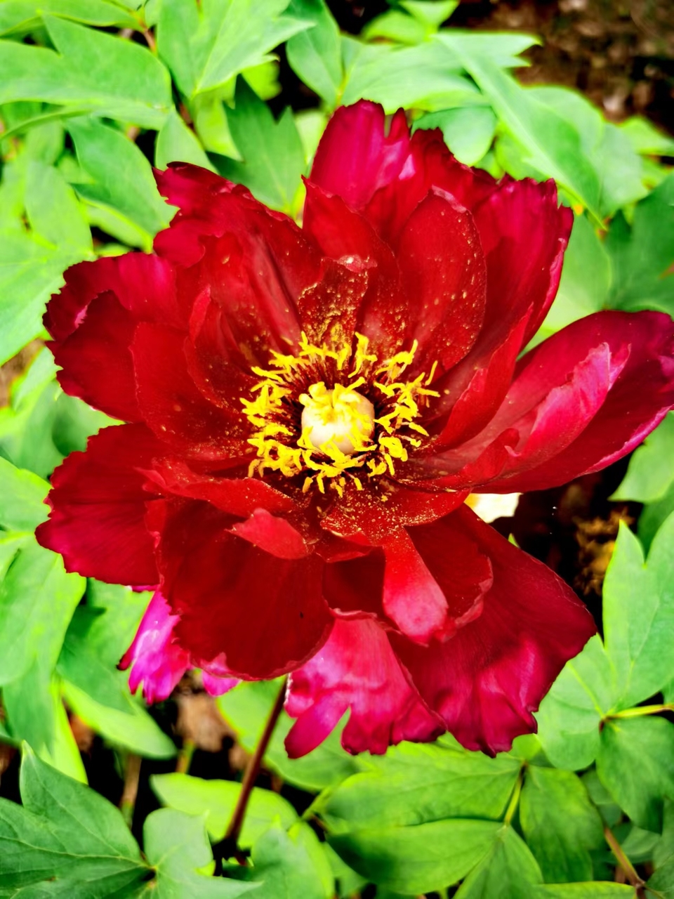 OyJ_FBqdlnjk191dHFX0l14J2LeiSZgm62NZfnjuj-LheRjNpQESIyfQAqke2qoh