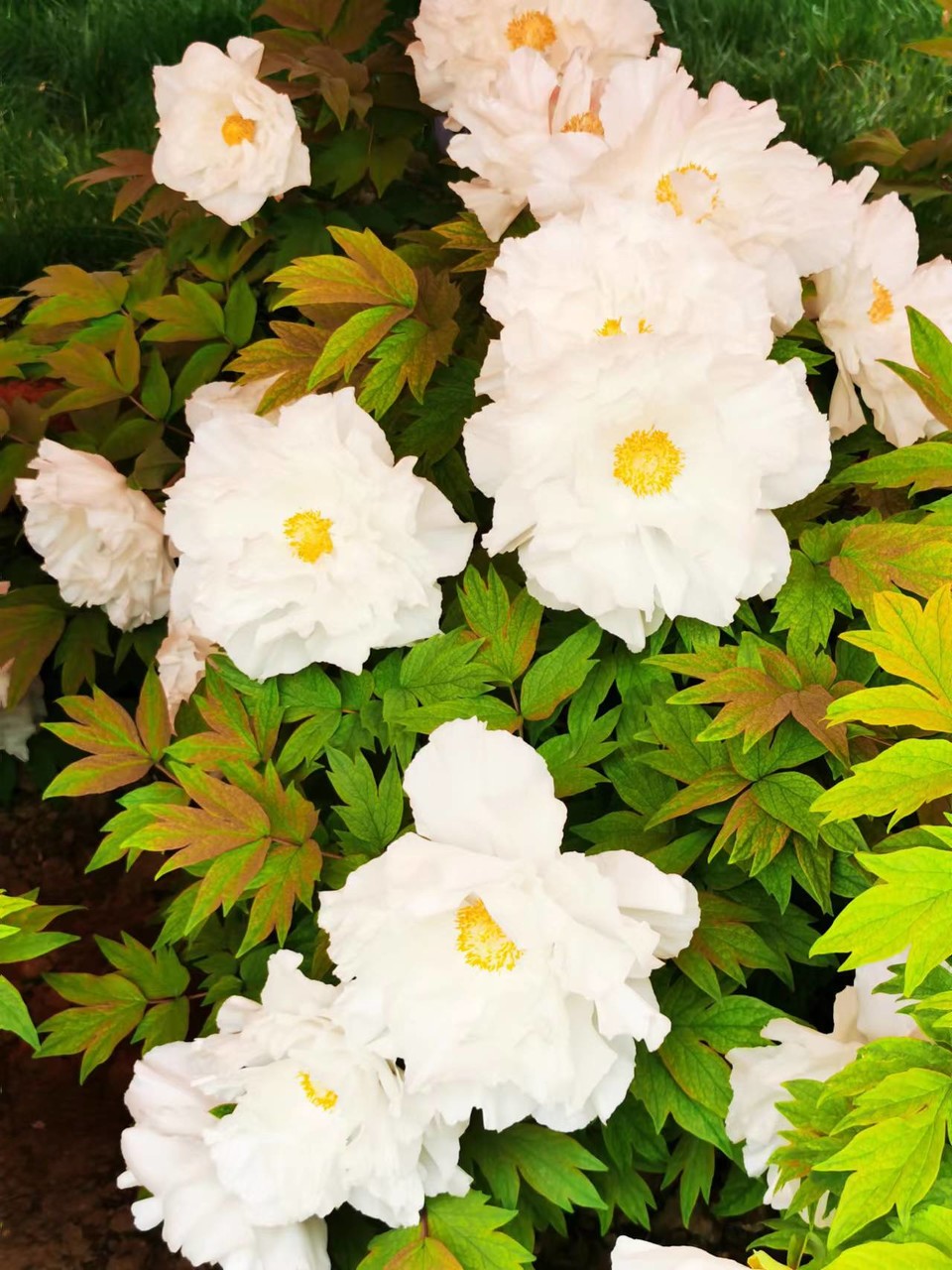 OyJ_FBqdlnjk191dHFX0l_X7WYn_7_ybpk8xeGvI4-TgY2wcRi10qG-yauMTTvsX