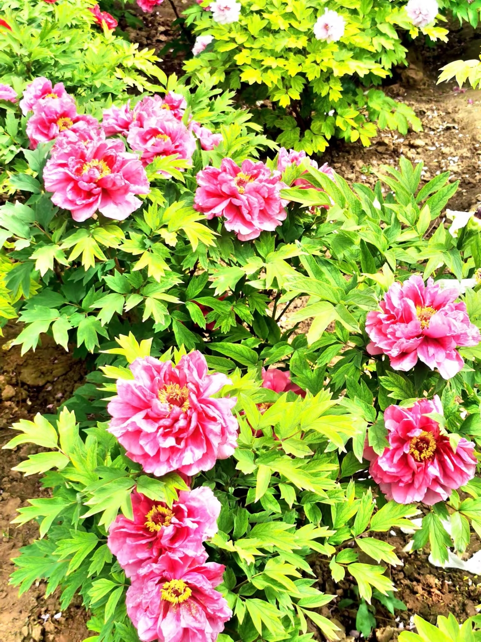 OyJ_FBqdlnjk191dHFX0l84I3dq9aEPiUOSWG3nj_f8afYEcyCZP6ecI_XLJtfMC