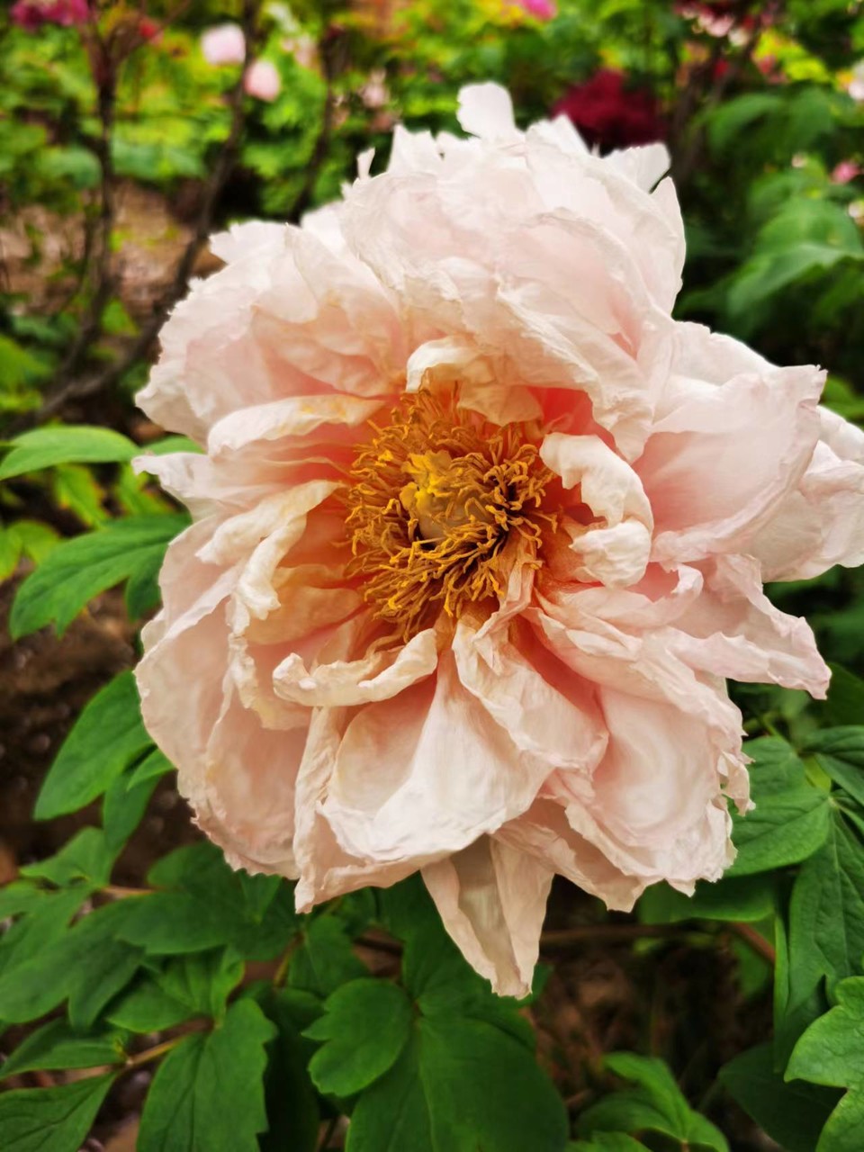 OyJ_FBqdlnjk191dHFX0l0fDgVq6H7_fpgxd227hg6WTlkTGnkuo2e7MmppRlrVg