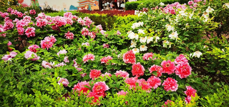 OyJ_FBqdlnjk191dHFX0l3fkyZPBk6MbeuaOp4F_zZlvmwyMoLvltluoVI4bxbOH