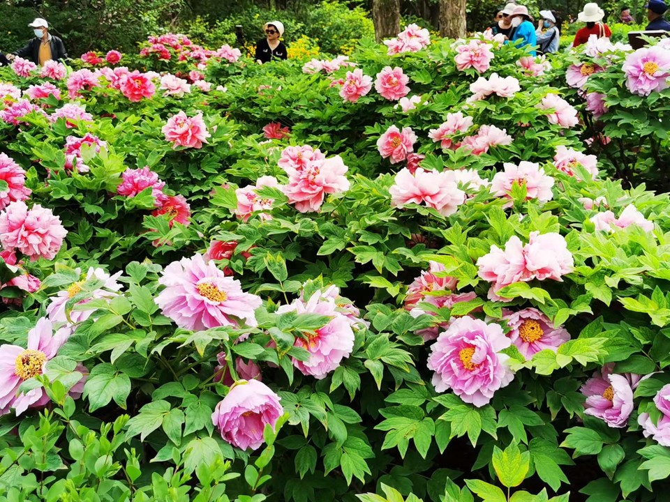 OyJ_FBqdlnjk191dHFX0lyE0YSpn2W8P4XPZCd2cPrNGv4R3Bs_oWid6F7BzC4Qi