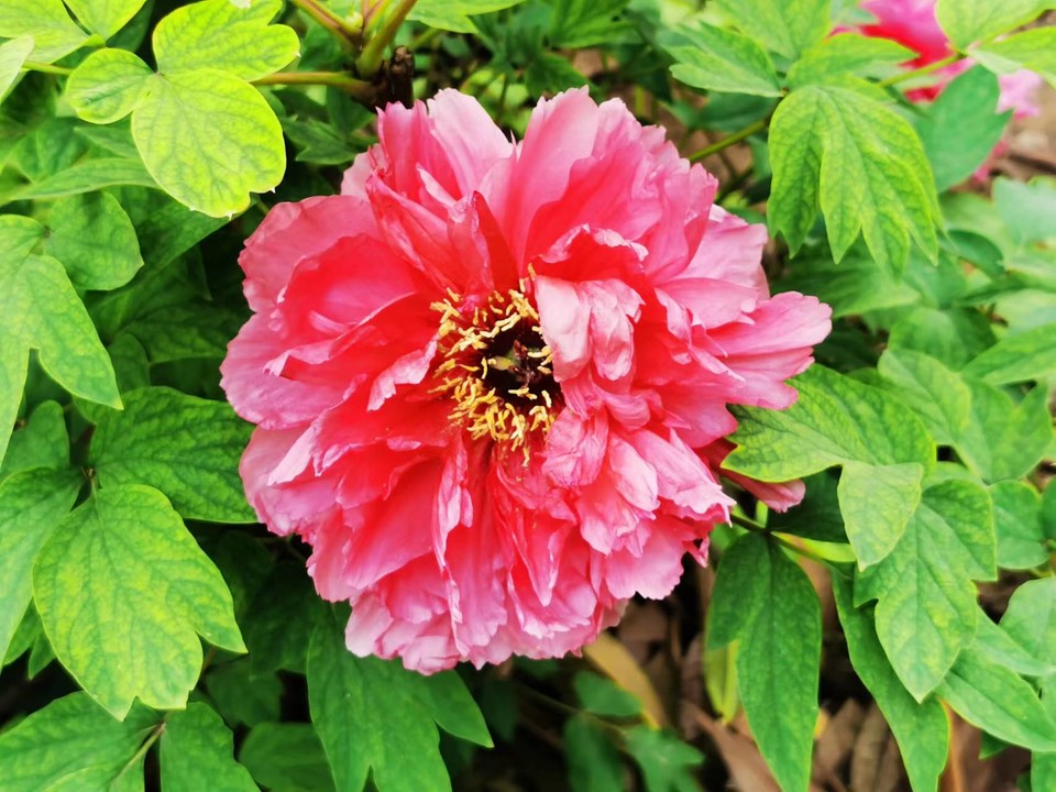 OyJ_FBqdlnjk191dHFX0l7C3MCJDNOa8NIxUwfAlkJTuXSTkaOG-0YpGJ_N6MXUB