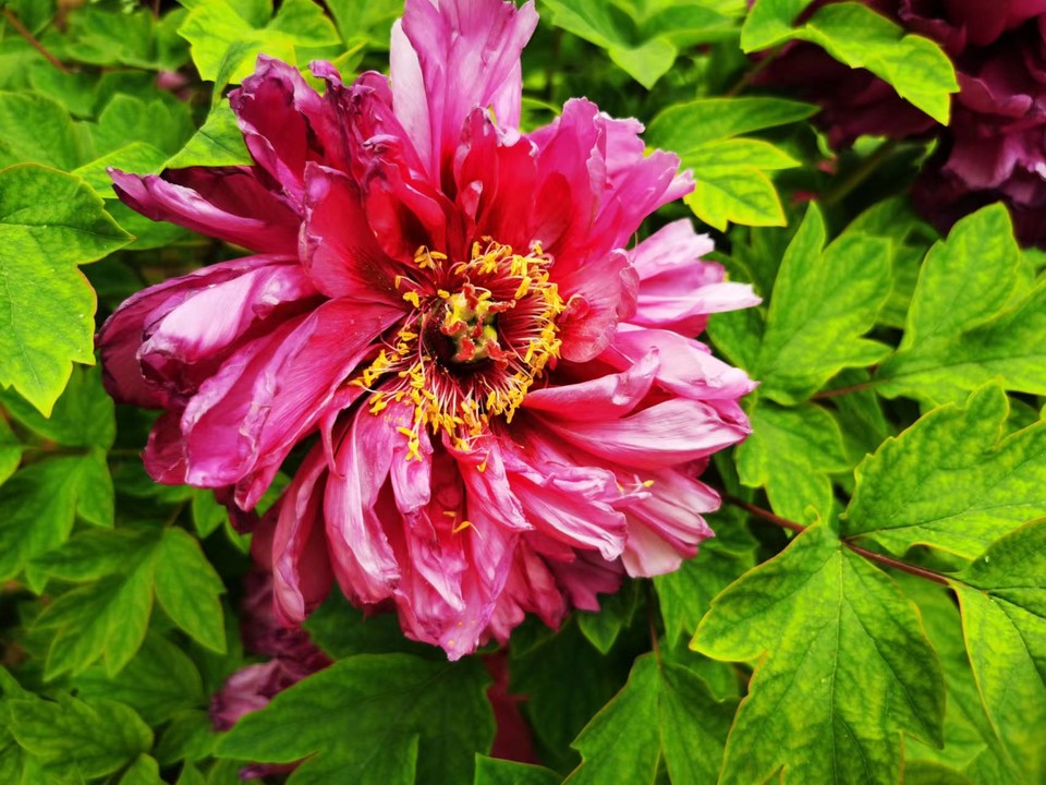 OyJ_FBqdlnjk191dHFX0l4FVa0Ixgl0ZUQqOUFHl0pjq83Etfmz-ce9OjjAiOLpp