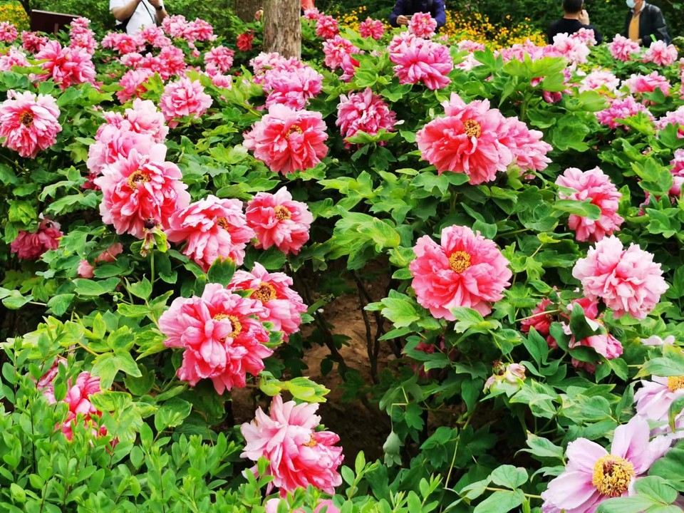 OyJ_FBqdlnjk191dHFX0lzqweu8xOqaS5DnfcdbgvzGyTAOT7J9mYB1Rt6C1td03