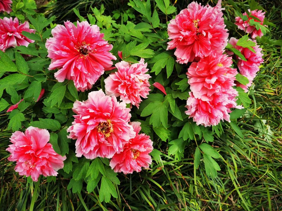 OyJ_FBqdlnjk191dHFX0l0ibEi8GoLdbr4gjXtcau9X7ZxGh7JBcYw4qhpXhpHY4