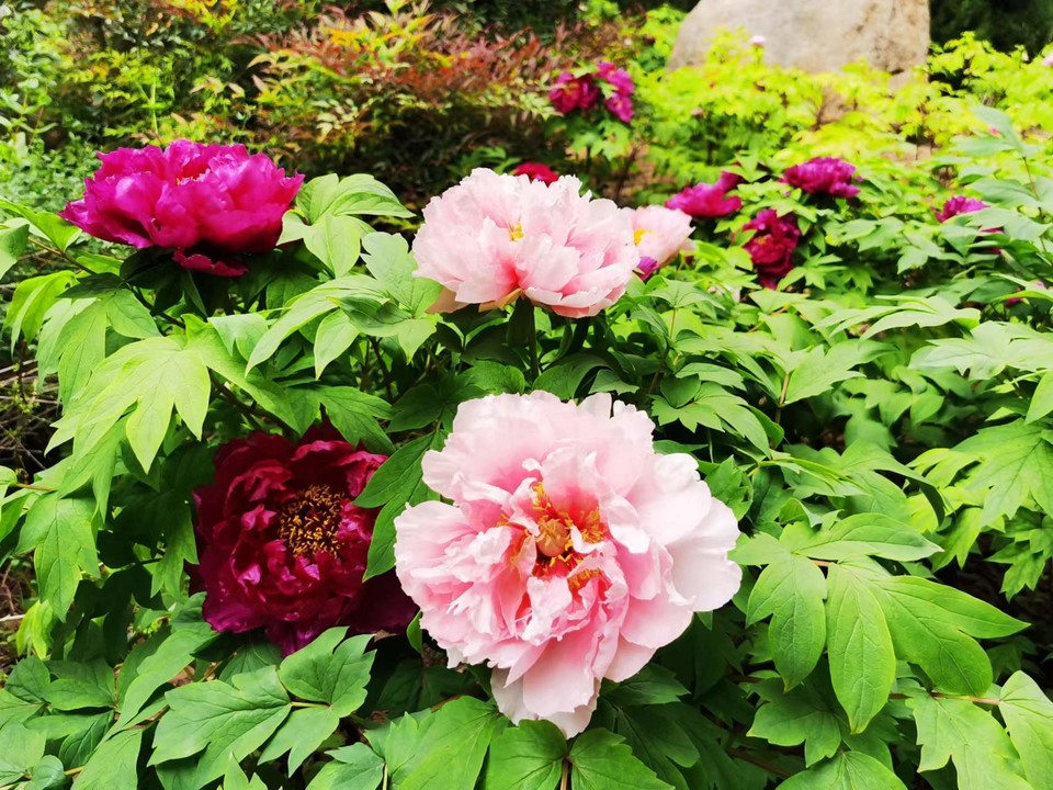 OyJ_FBqdlnjk191dHFX0l6vky15319t3DQgQwk9dmXA2j4r8S_gknelJbMp77-Rw