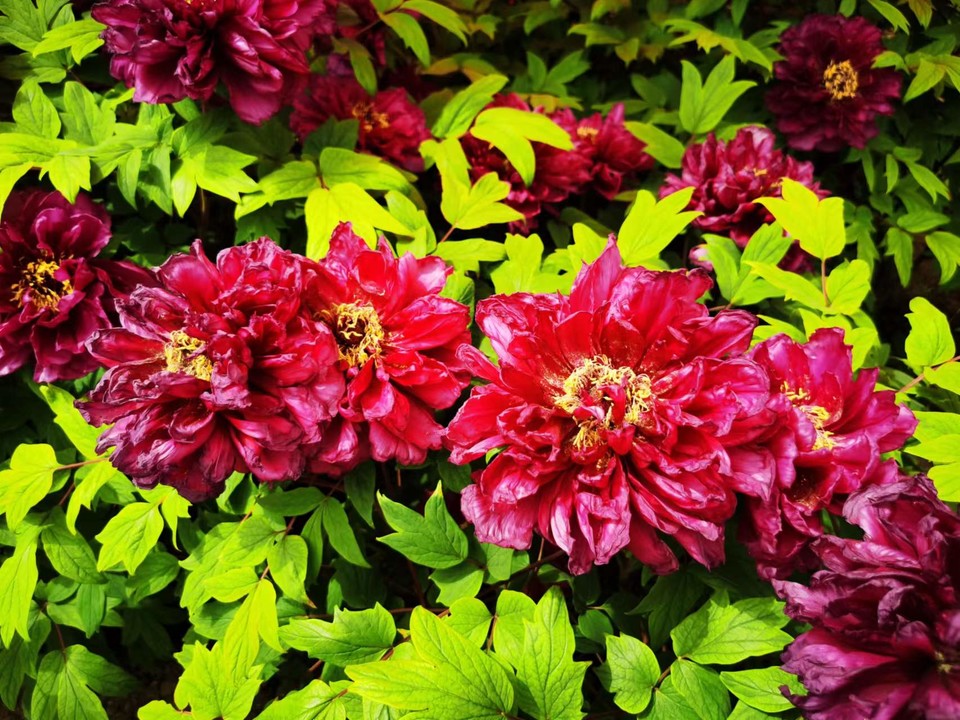 OyJ_FBqdlnjk191dHFX0lykc07usxfjkXxbjXRzrlLqp6K2jwm6mNg3mgD6SC7e-