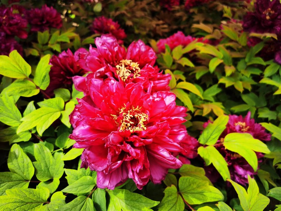 OyJ_FBqdlnjk191dHFX0l-56xvvmM7DCsMHe8LUS-_kPYZkMSr7-XTdvapWDvXSo