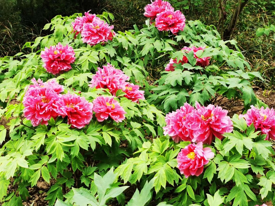 OyJ_FBqdlnjk191dHFX0lzEmM6H2JH10CVb96XAZ7Jau-fnbCmqbLSoqGGCpNxJ_