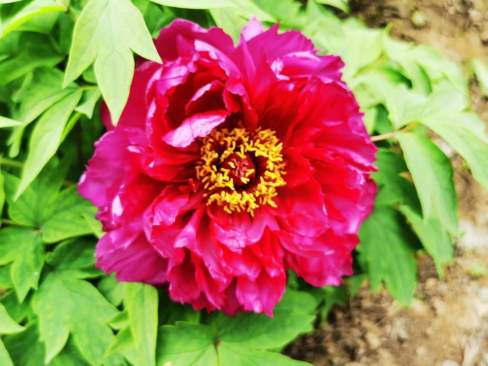 OyJ_FBqdlnjk191dHFX0l3IOxAHcs2d5w4jUaofBTkWtWjg_YGymvVhxT8YDAHvv