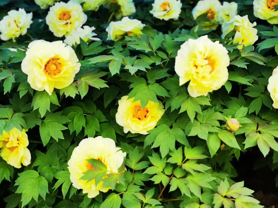 OyJ_FBqdlnjk191dHFX0lzxtbIsJ6AoQX8nRZgBZND2CRDTK6bwwEhtnIWmfz_zn