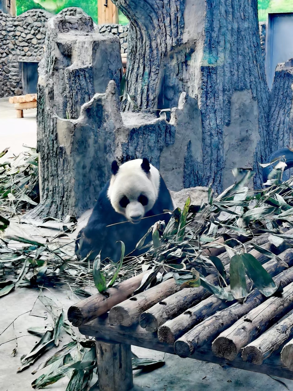 aNpcTXxUoEqumxYcWlfKM31fFBxVwPL_6eGlqnE6Sd1J4Qx9yqusUYttl1CNvtft