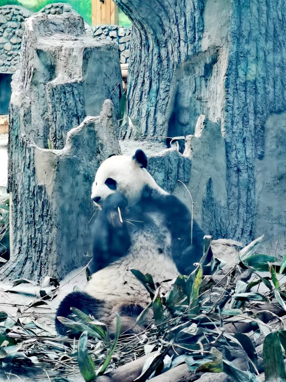 aNpcTXxUoEqumxYcWlfKMwbbDaRC_V0Zzza2PuqxDX31TTgSOVCzdZTfZUwcQP2z