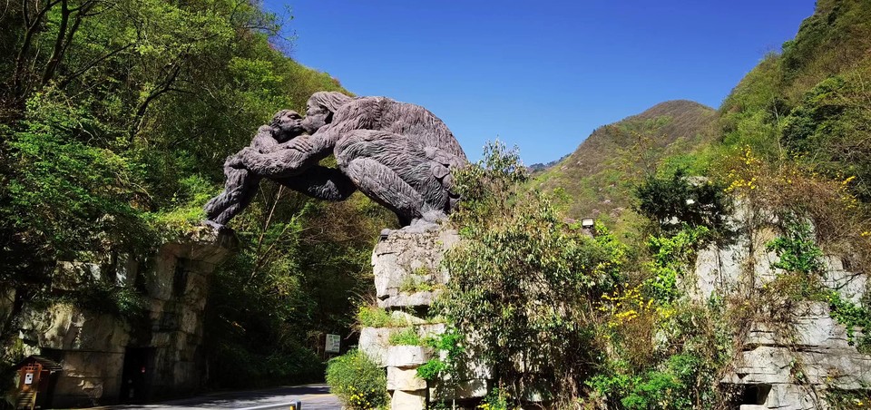 aNpcTXxUoEqumxYcWlfKM09an8w4hxZG5KvFU378YMgEYhvmwdaq8db8E28T-RX1