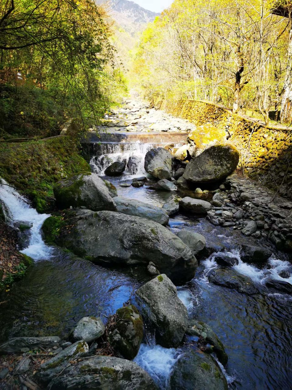 aNpcTXxUoEqumxYcWlfKM9Ab2FLhO1MILJmM57lmFDyNQf7u8ptwWMfpibAeBrG0