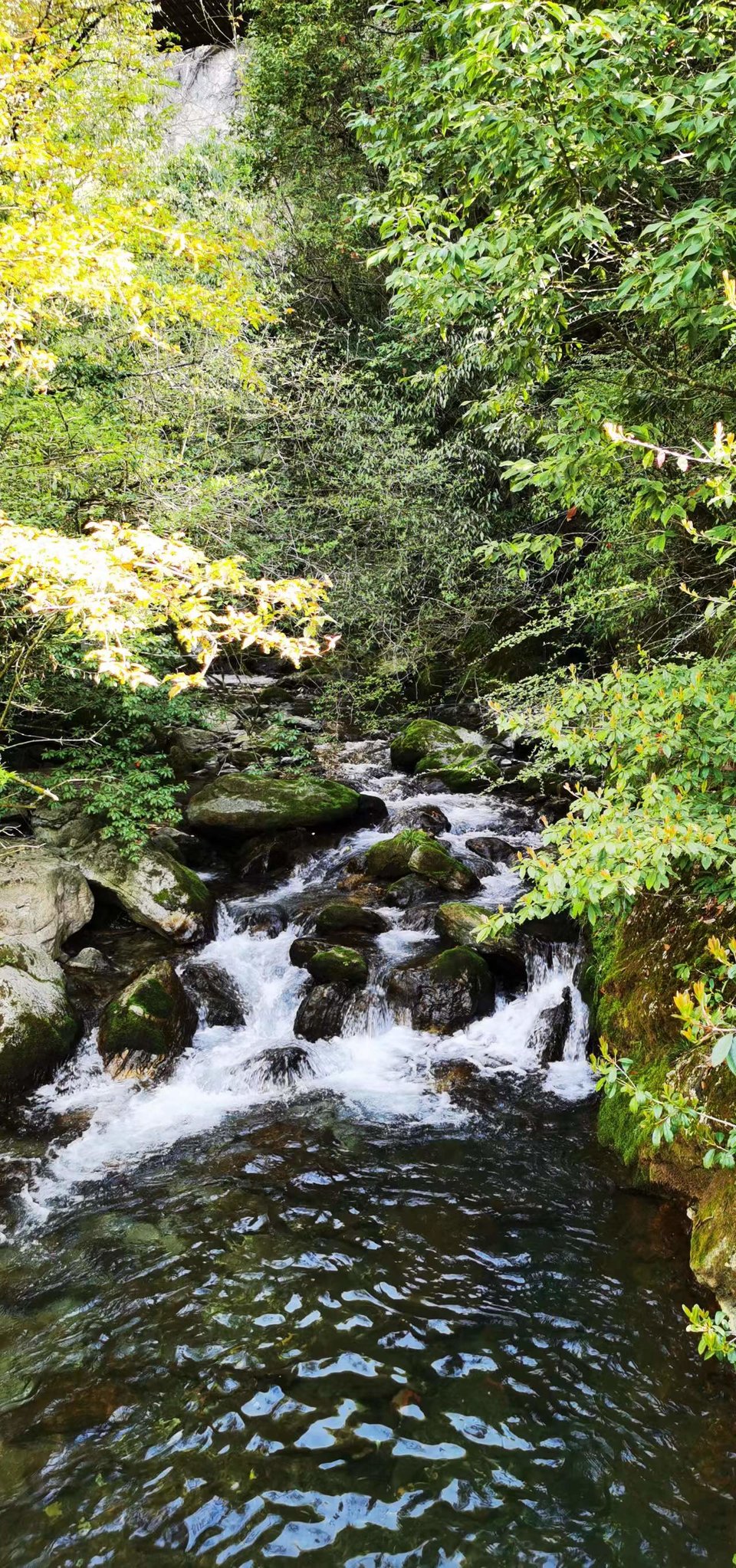 aNpcTXxUoEqumxYcWlfKM0OSVlT-3TihupbklG4URlQolEqftHdoHp8jFc7iPUl7