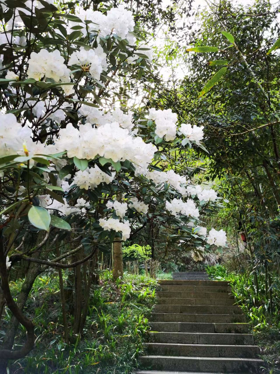 aNpcTXxUoEqumxYcWlfKM7yXmYF4Ogy_sd3YIEHJd8zkdlcKra1y73Lwg0H6n1DO