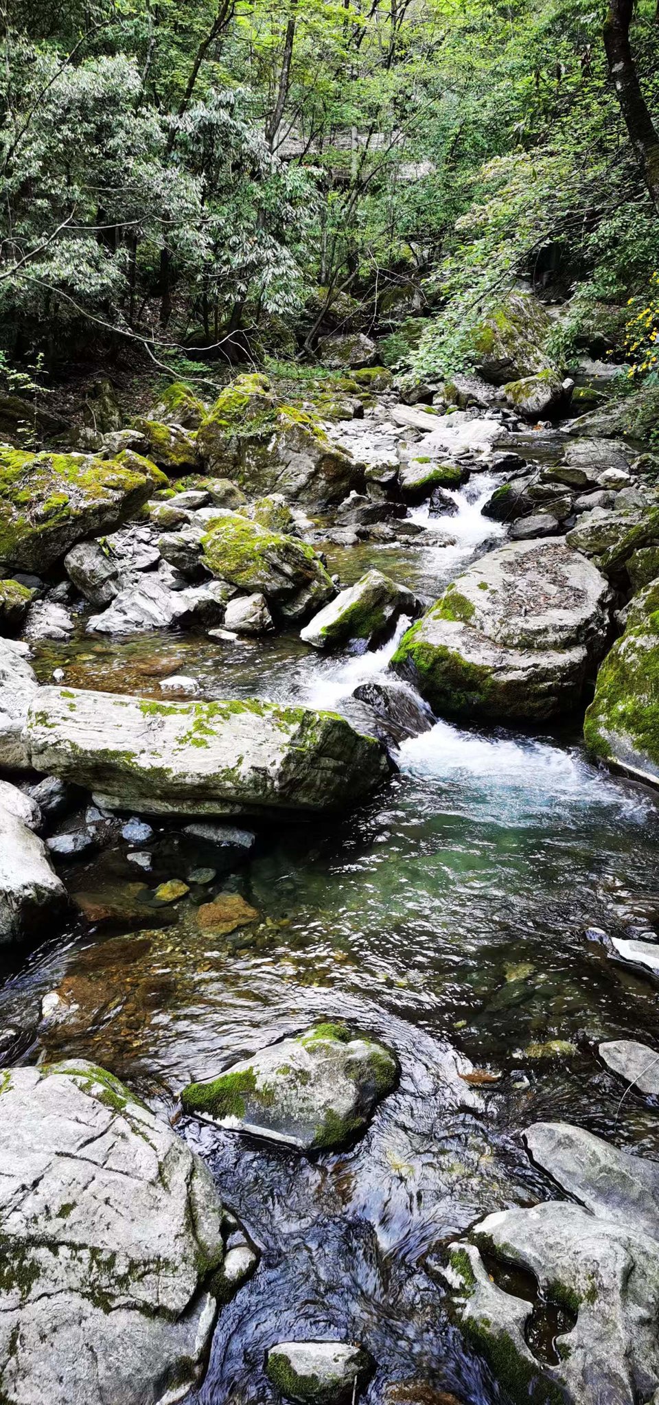 aNpcTXxUoEqumxYcWlfKMyPXaBdgeQDVVHex4zOT9kayGxQlk_SygxxUS8izMcZs