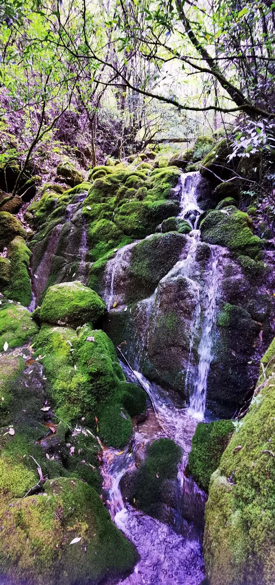 aNpcTXxUoEqumxYcWlfKM71C0l6RItDGcsCKSNNF7Uv9x3EqClngWKGxoGZaQ75R