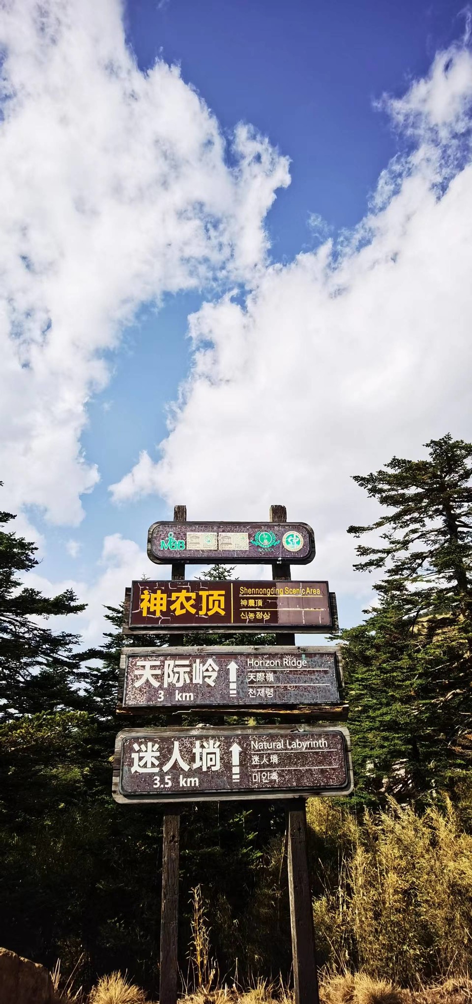 aNpcTXxUoEqumxYcWlfKM3GPIdgPGFLdSKQWv20ehFkZRusk3aVLfjGXv_ufgC9-