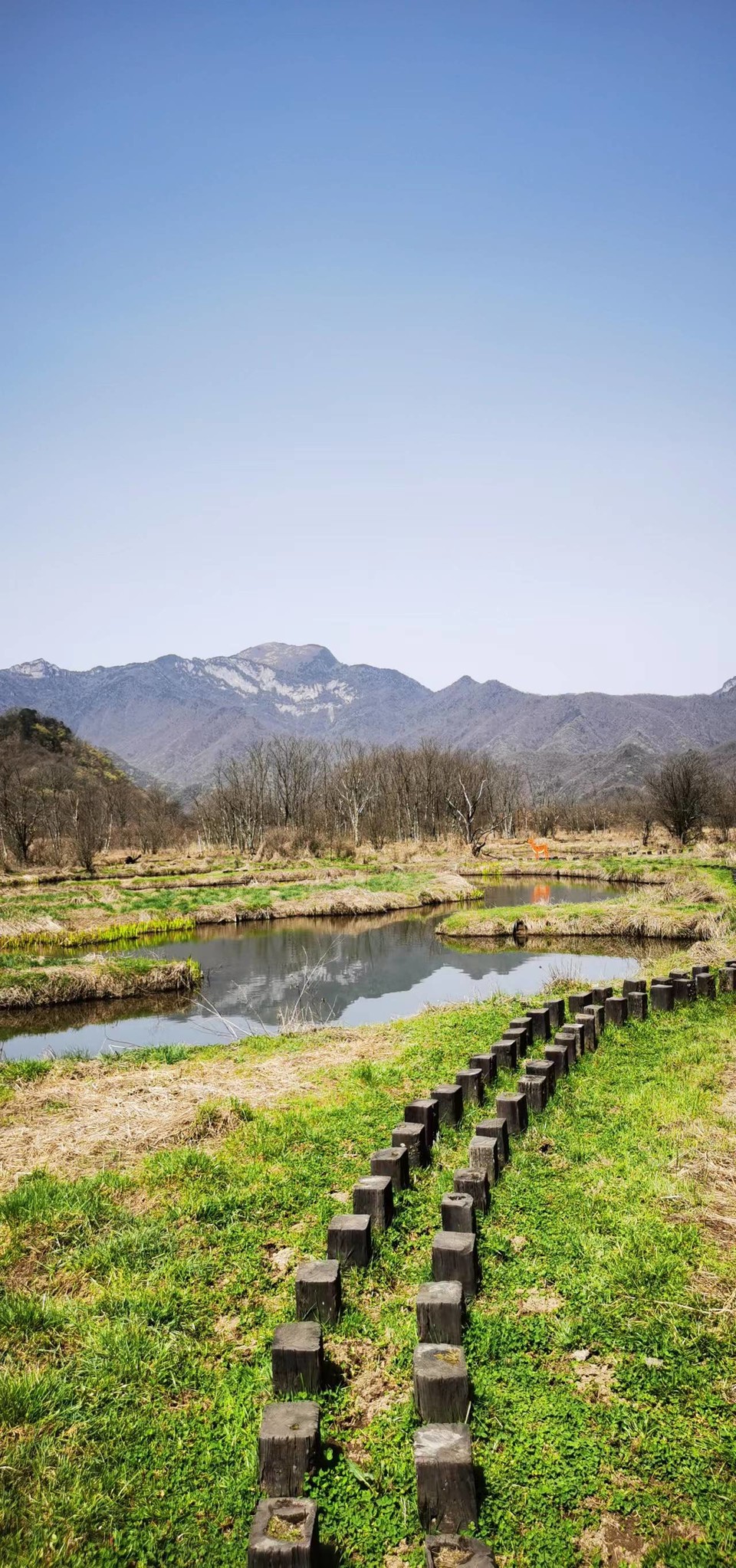 aNpcTXxUoEqumxYcWlfKMxZqIC8pCi90KWXg-1p44RnnOSh2zmpepRUURDekjRR4