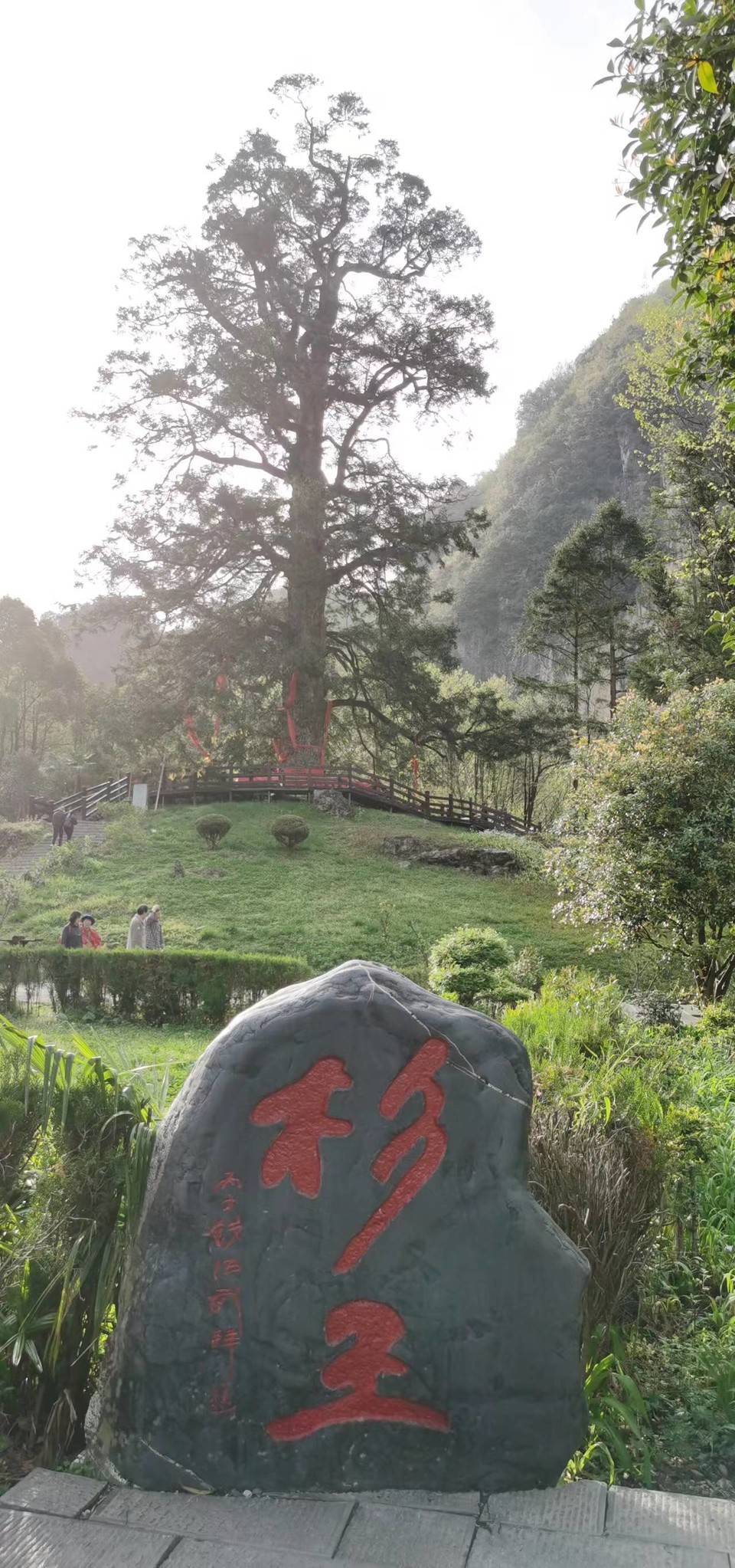 aNpcTXxUoEqumxYcWlfKM2fI_oyRGK6OCsWkTq3ML9LYV5Lssk1ztcVJc8_NnAZD