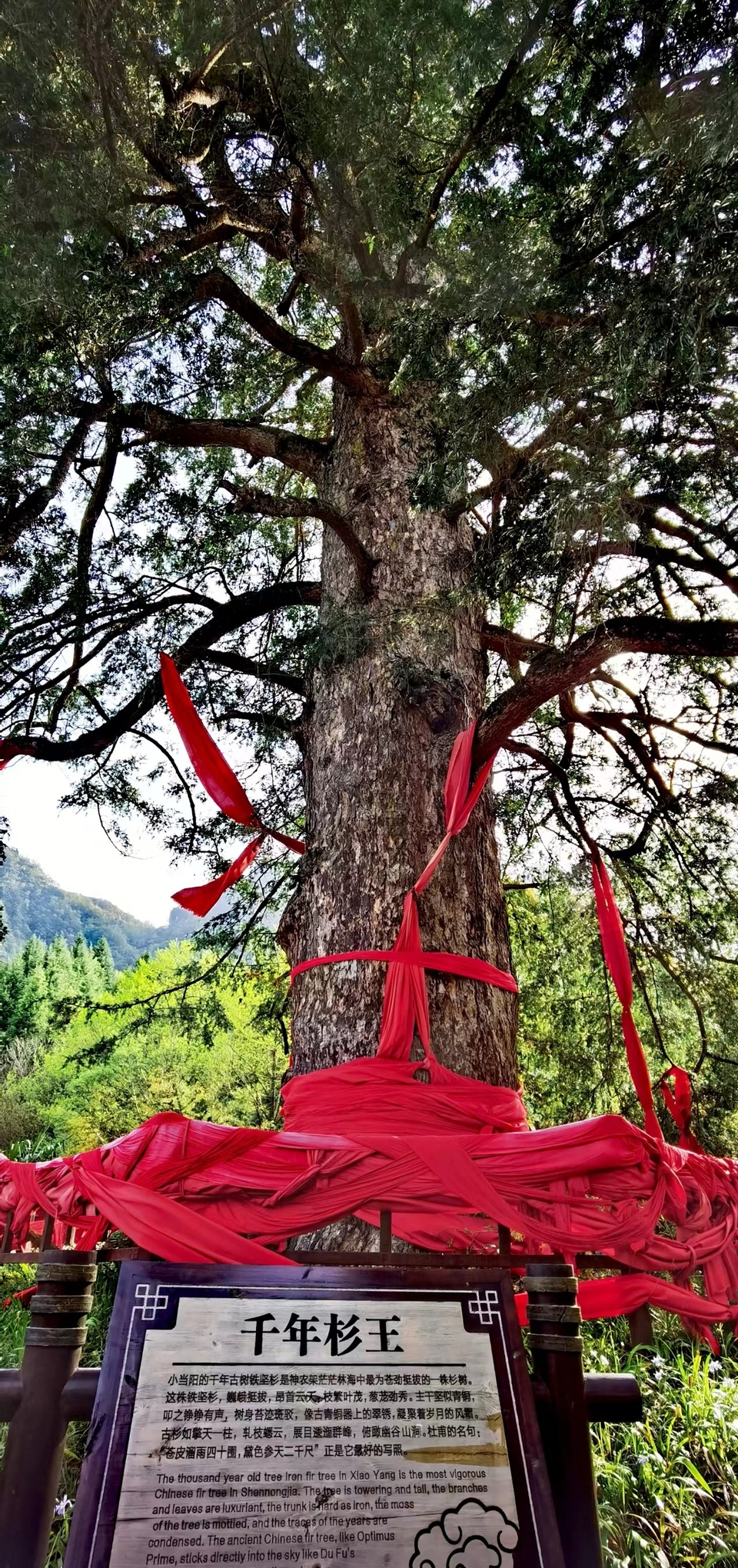 aNpcTXxUoEqumxYcWlfKM491TXkkq-GFyAp9tJUQiBKH_s77vtETPD65hHleiV7b