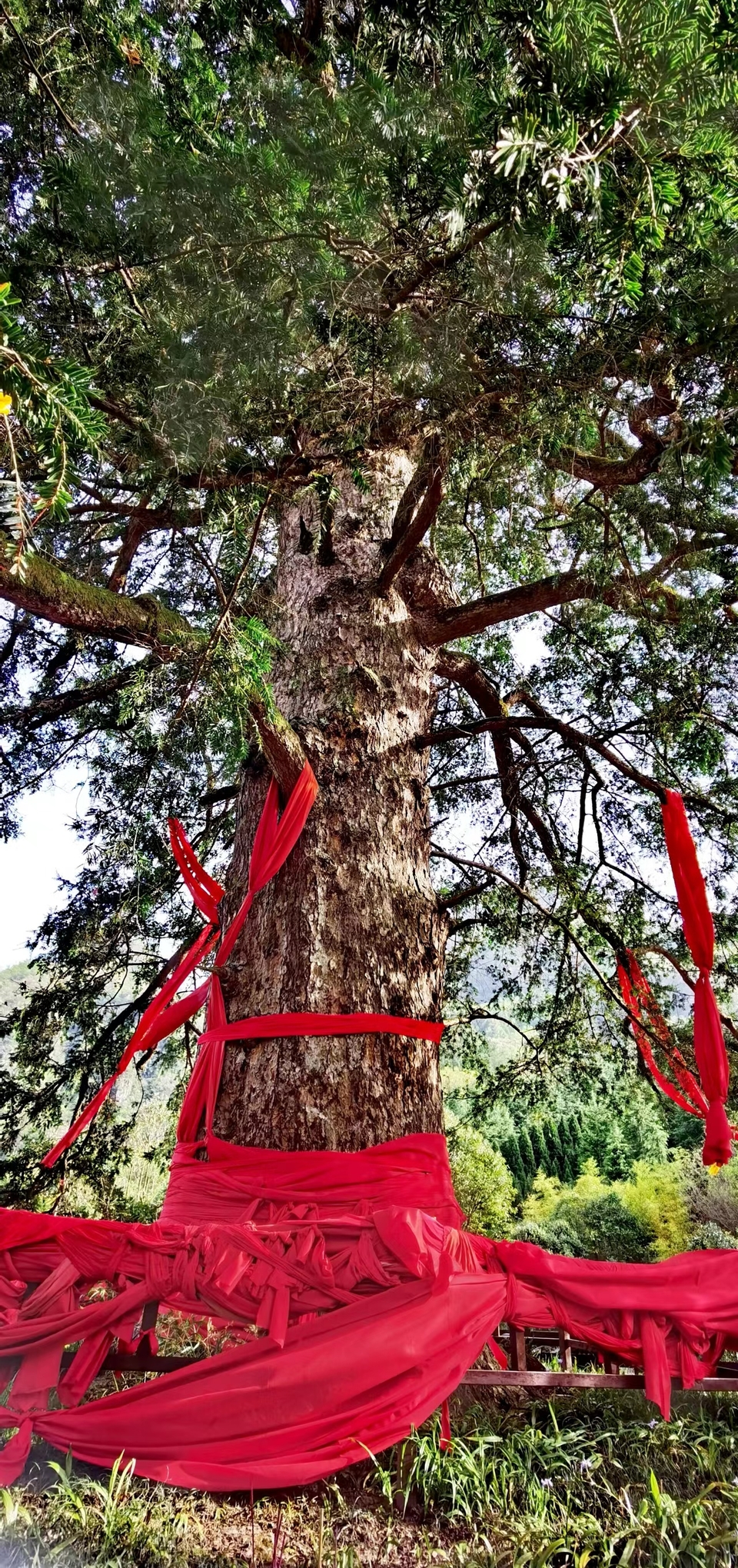 aNpcTXxUoEqumxYcWlfKM30_auKY5pUJPyf3bu8s1FDkwvnGat_0sYme6L9wuIkm