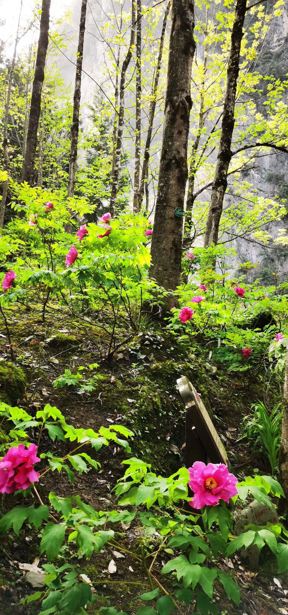 aNpcTXxUoEqumxYcWlfKM30YjUcANuZXqjSNYdFYoj3z0BRtLQzamhu8AaeLnXXF