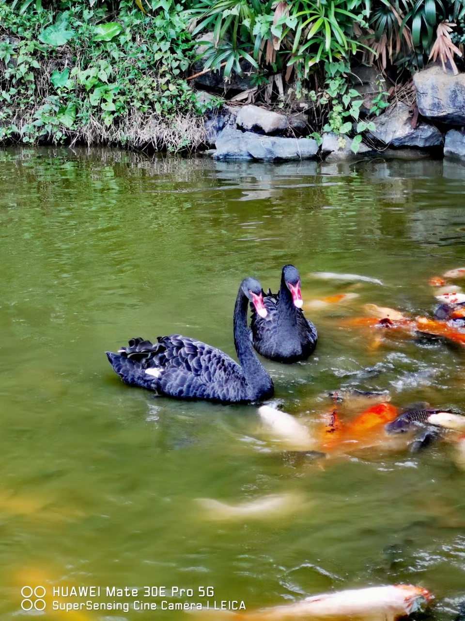 jLB83vwN03uiYRyCYfxDLJH0ewcT3mn35KR52xDlxmdtGU4X7K7FeVatzU9fJ4zS