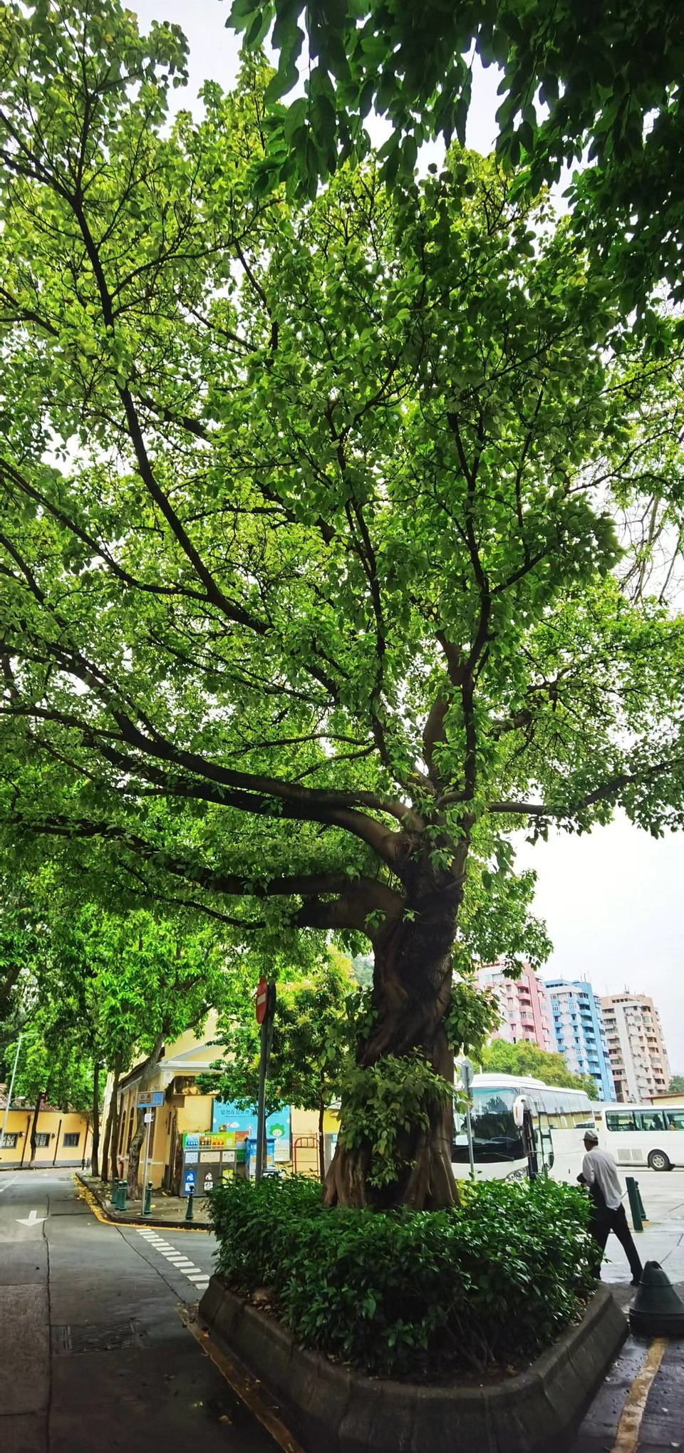 jLB83vwN03uiYRyCYfxDLEKc3A3-UKfxOK2K2uy7Qsy_G5k_MuHKjm8tLs0fT1tN