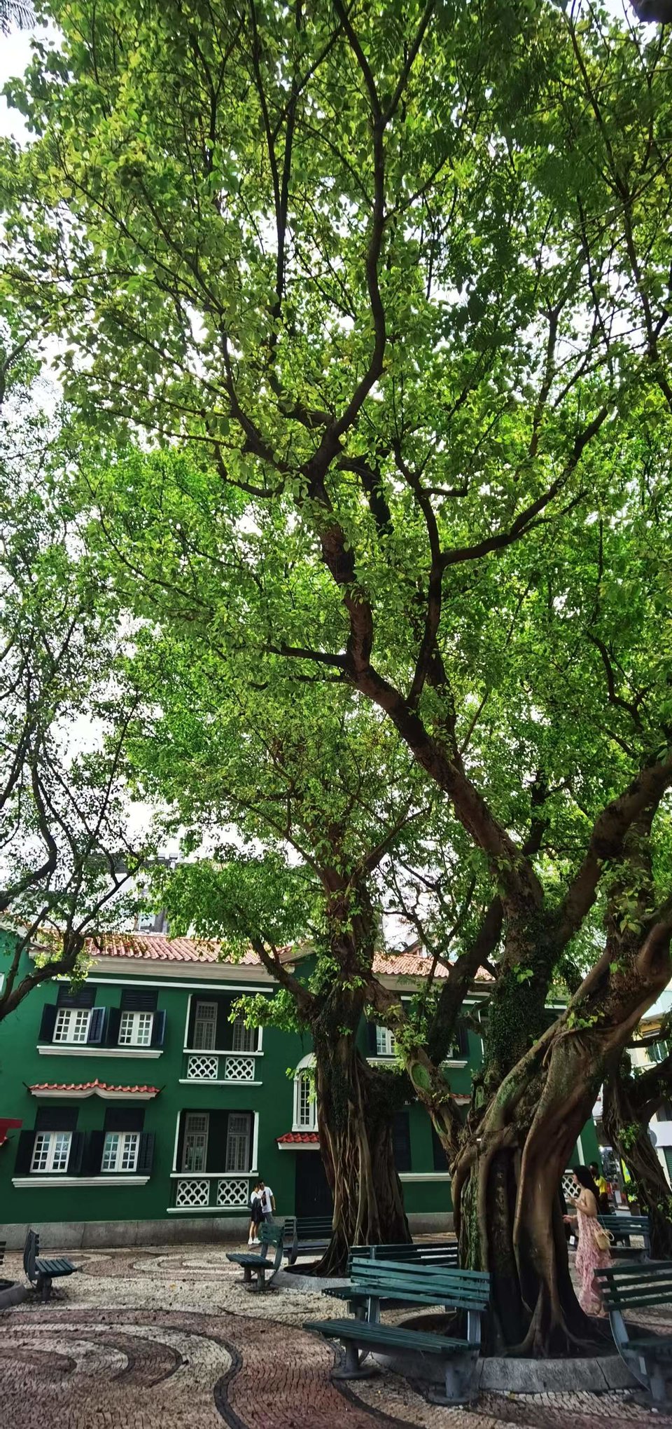 jLB83vwN03uiYRyCYfxDLBQ22WWXTXIWJjsZVGl3PfWWr3GZS6qKzpTV-oUHNuHG