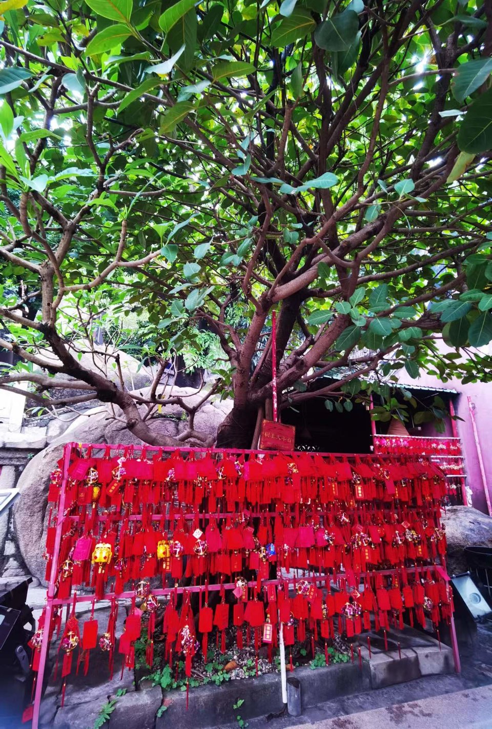 jLB83vwN03uiYRyCYfxDLOt7DRX8DH0k3gwOzI5Vc3v0gMxscINEaF-Nmj2jf7py