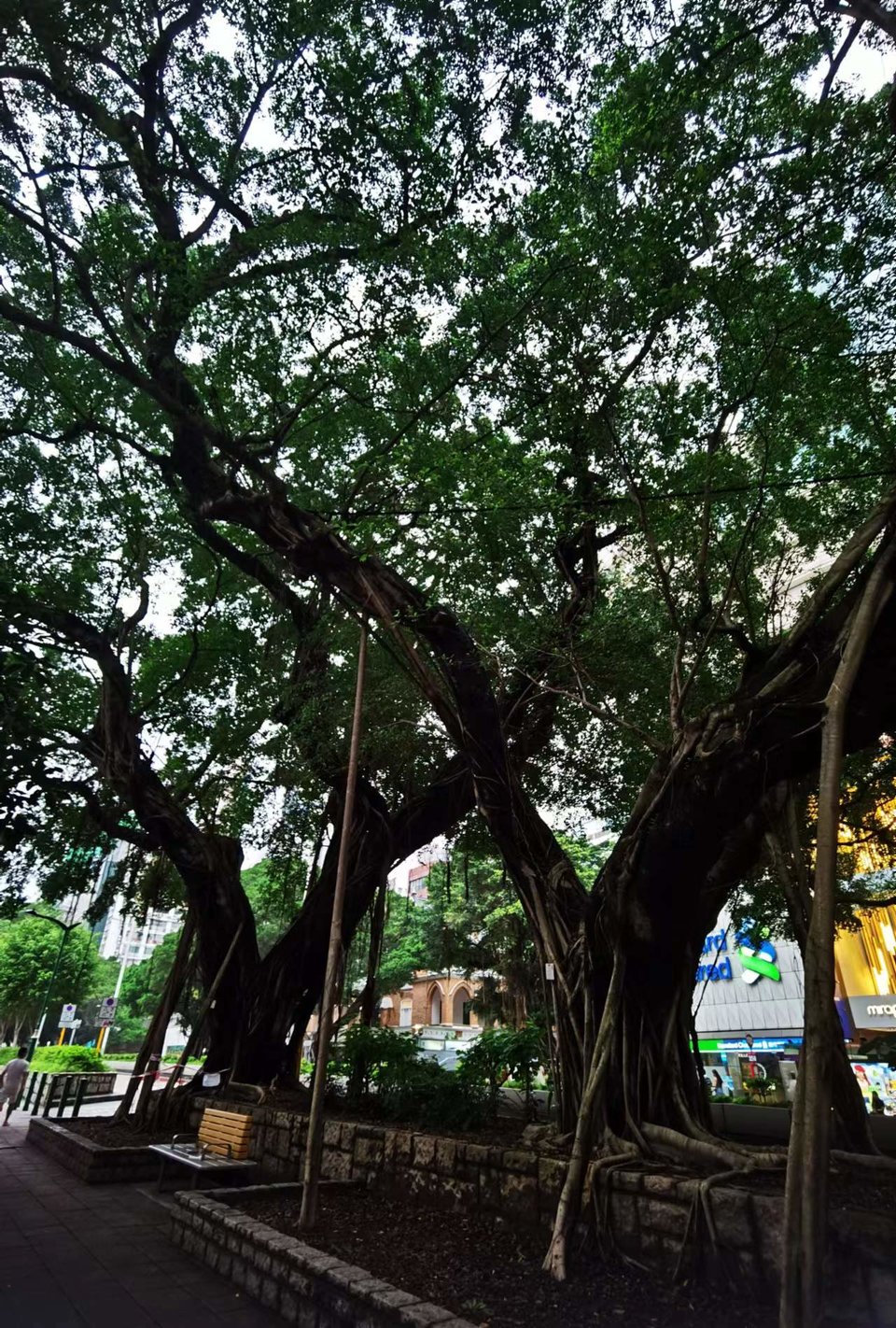 aMwmDeyghkB9lHqdrunVZt67pdpA_GW5XhSTOd0qte8nkCBXCXP1oLcBQN3ZXIEp