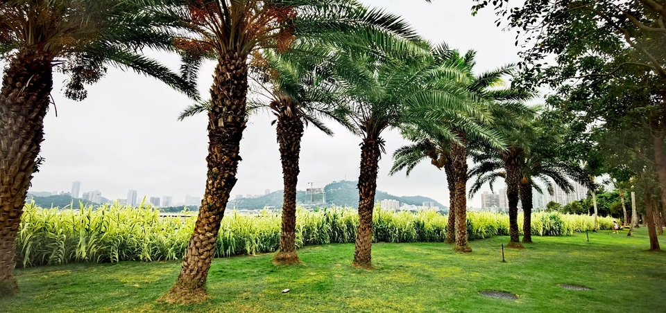 aMwmDeyghkB9lHqdrunVZjvupGl-p_luQyflNzUrAY8hxyeWrZcrmKI8OlcxramE