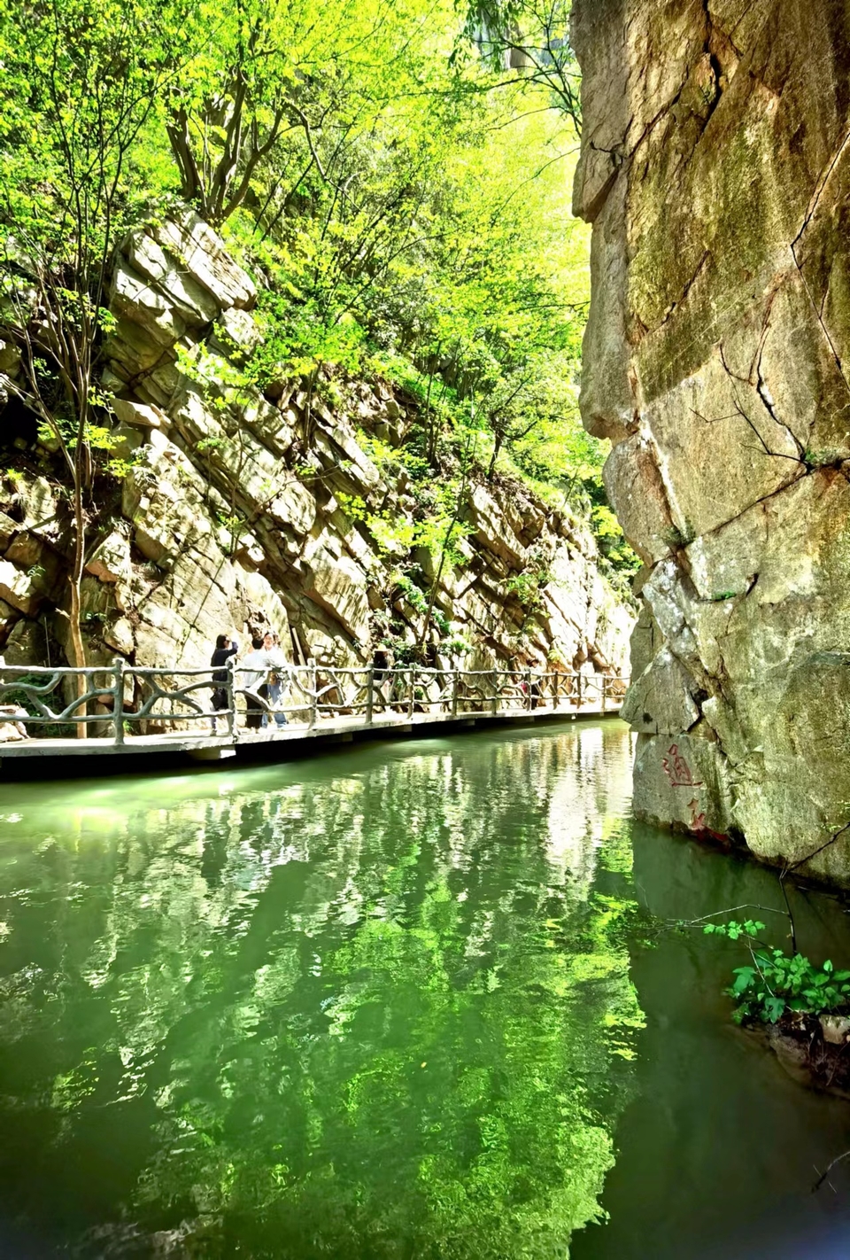 FRMn3OE-PQ1rxlkp44nRBfTbUORzNYxyH4Q8EwW247Wr-e2ZELySkTjvvqHtXthC