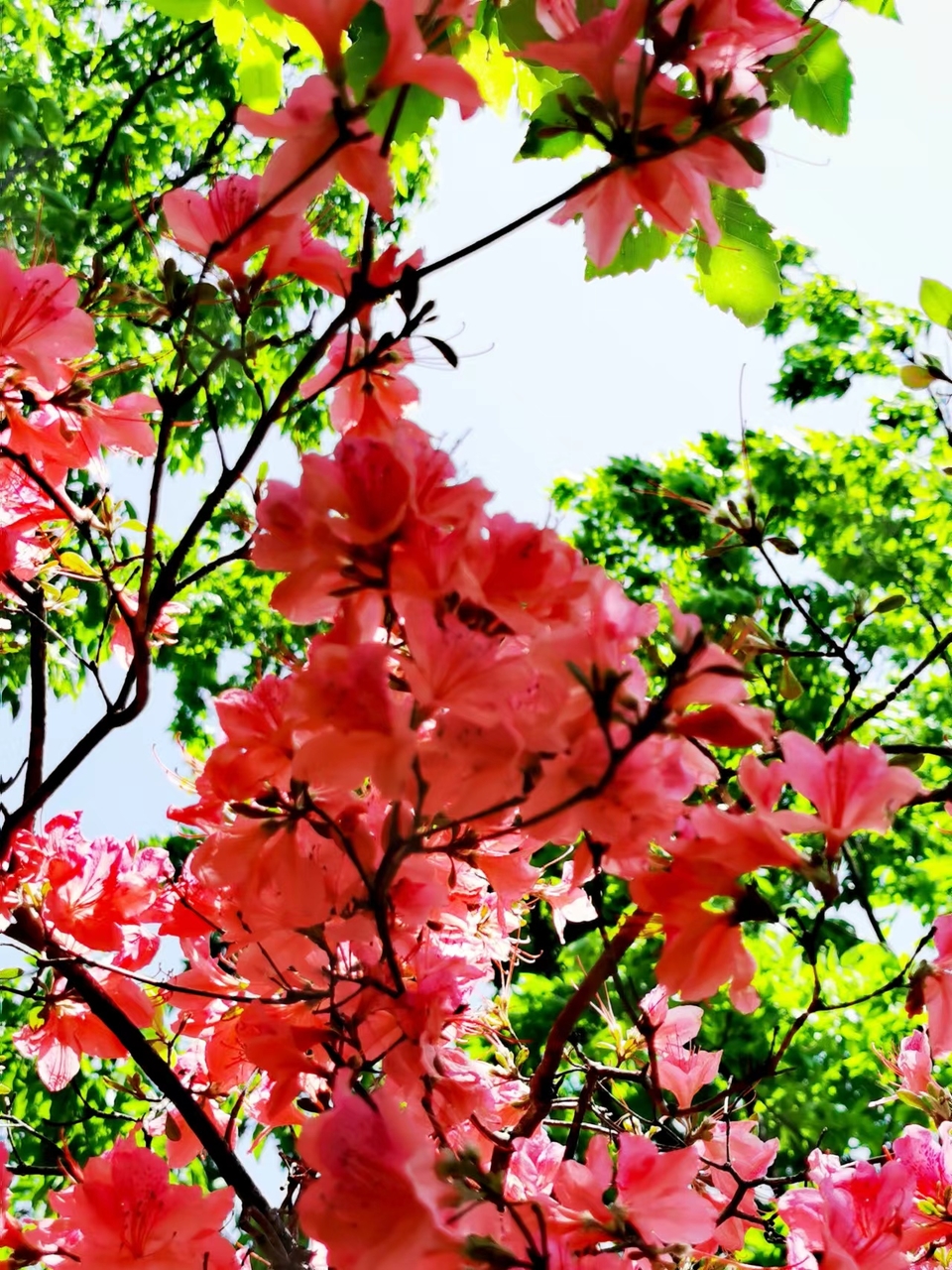 FRMn3OE-PQ1rxlkp44nRBafxt6RvVerEm1Srd3RiXtf9LSyUil1kWGWPTvRxru1V