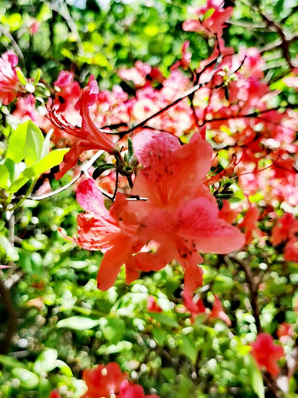 FRMn3OE-PQ1rxlkp44nRBUHKxz1WbGFAD3QbUEbMluXQkdGt2BTIOBtzzfjfs0-j