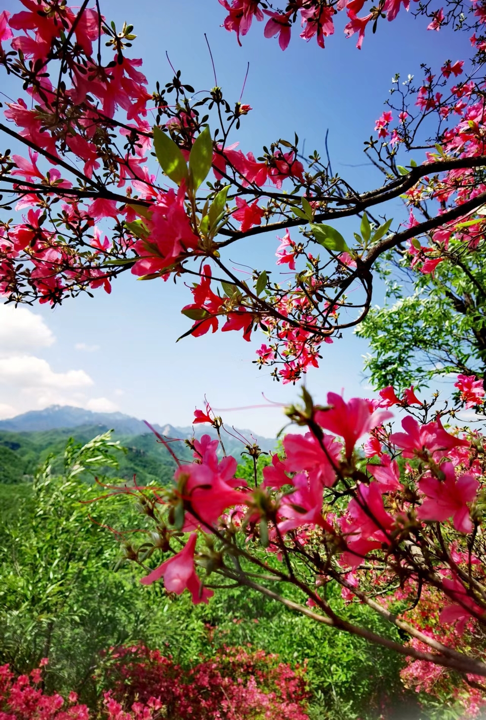 FRMn3OE-PQ1rxlkp44nRBSgE_9pLwgrlp9Olz0g0Iwv7EZq75M6FBFdMw_dYe-Gg