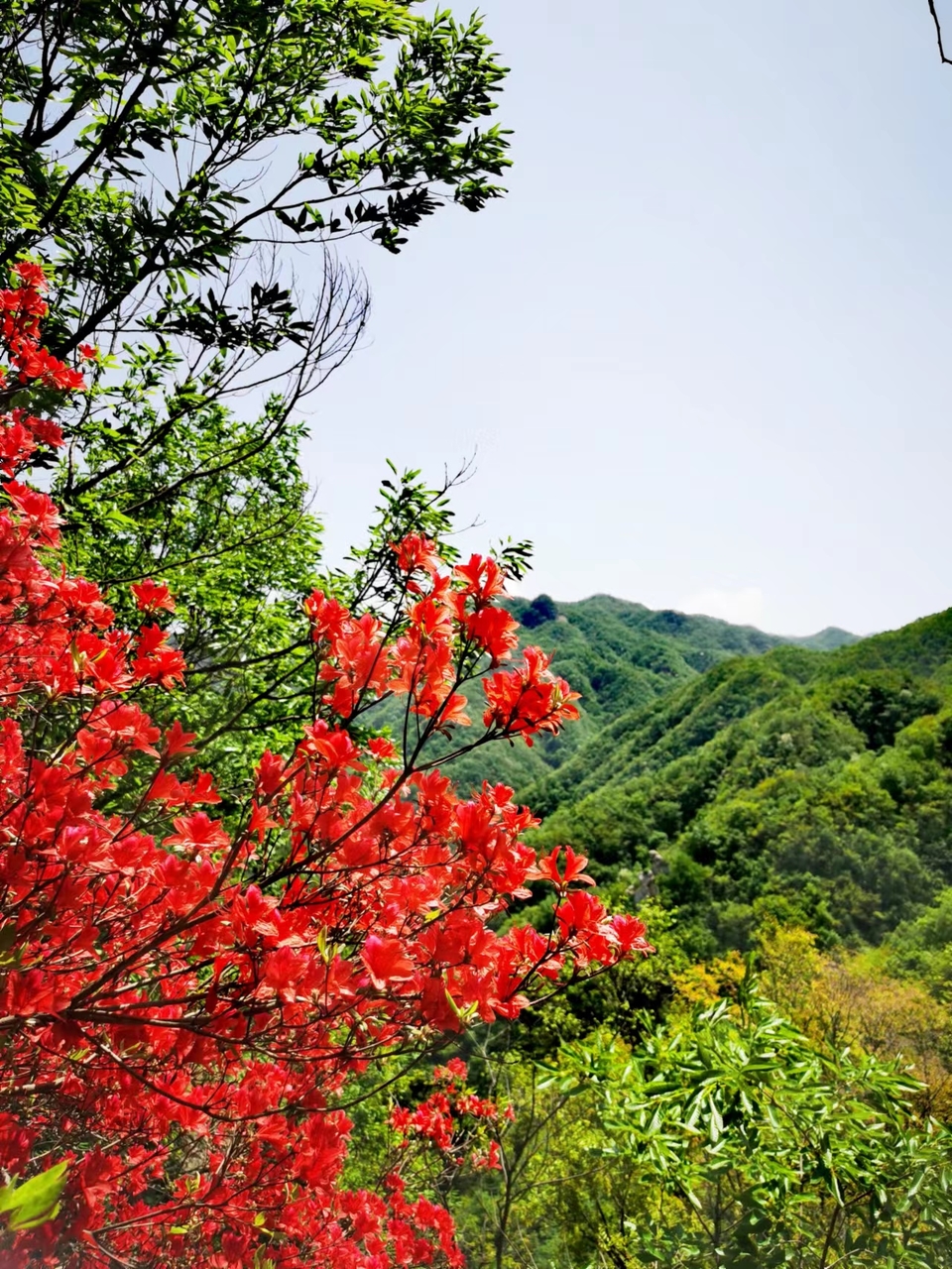 FRMn3OE-PQ1rxlkp44nRBU4tkQrj7GhxRxEaBnPIpgHgd6Ky4Gi4Hq5CvxQf9_DC