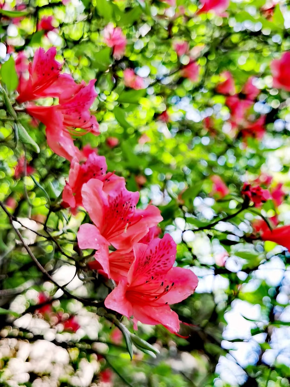 FRMn3OE-PQ1rxlkp44nRBTivYWaIrxjQT6Lk3djcwEGT9L3AcTHNeF-j9ED-URmT