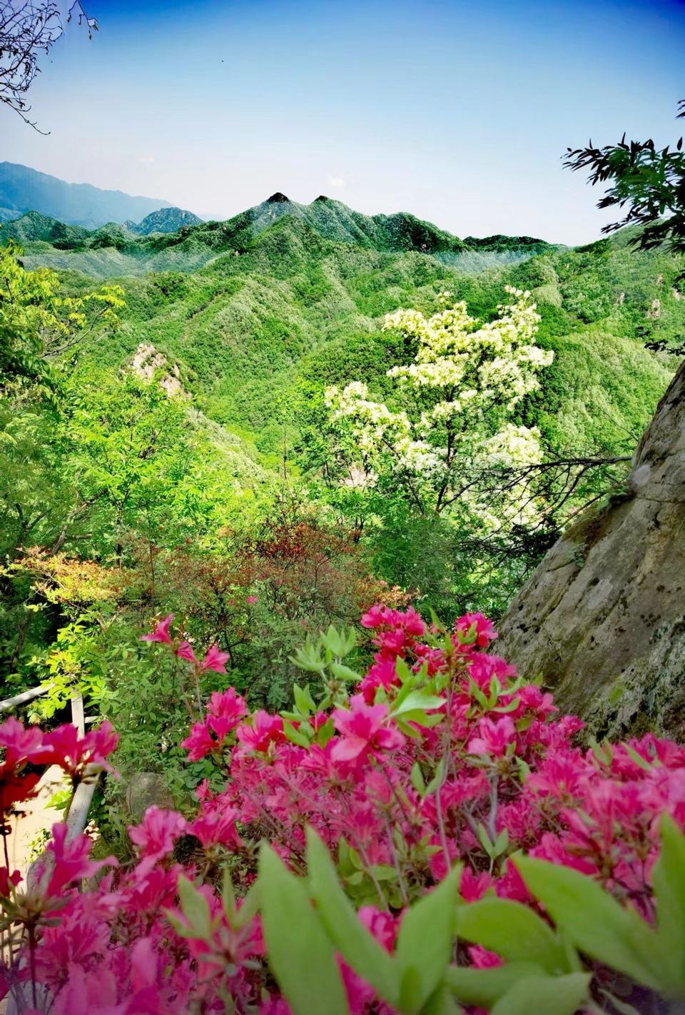 FRMn3OE-PQ1rxlkp44nRBTHWG22q_krERfVzxyrrBv8t6pWw8z_wRviMsYvhORQh