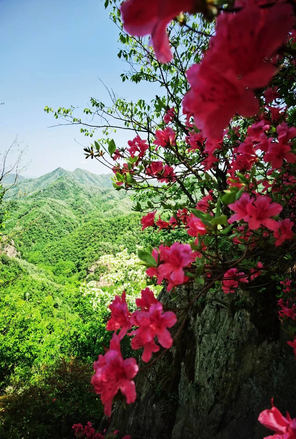 FRMn3OE-PQ1rxlkp44nRBeaML9LbmcAmhsjWSV5Zfl_AUDW7iCYw8aAuX7Zz-o_K