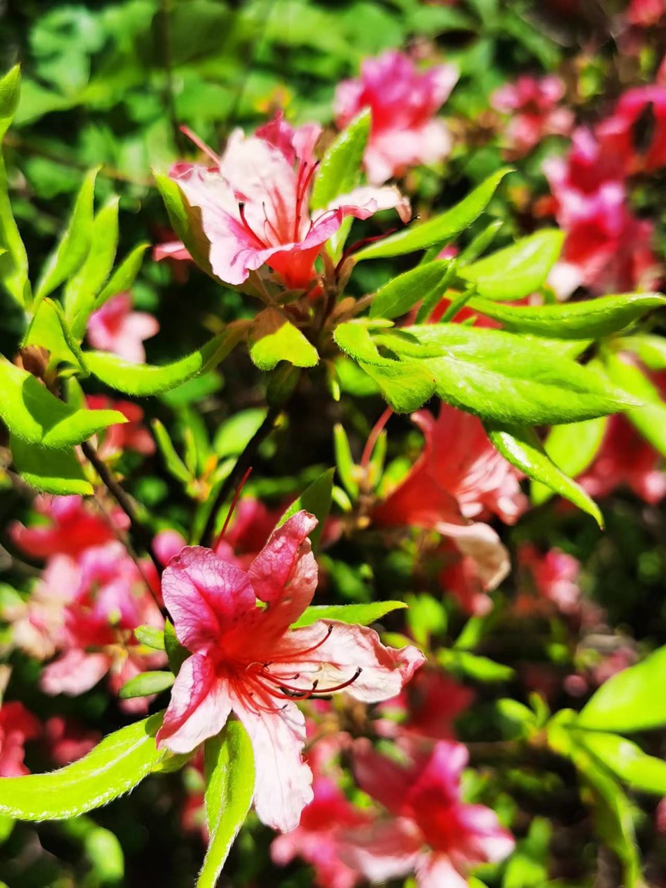 FRMn3OE-PQ1rxlkp44nRBTlyCwc5br3xwHLUJPtn-WtLiBlWyRtZPZBOeWv6XVWc