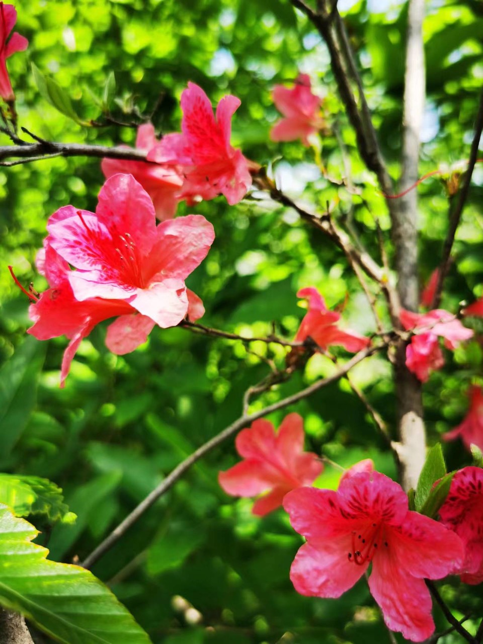 FRMn3OE-PQ1rxlkp44nRBVodjGx3n1Ib0GGBo-Lv-lBZw9vDessjoZj32r8wAL_Z