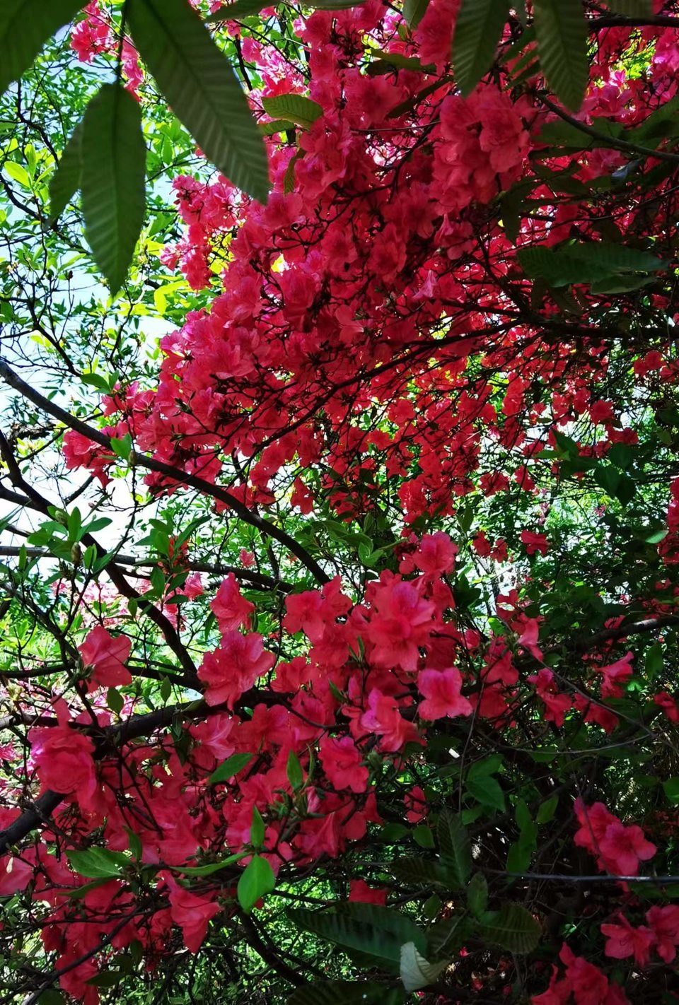 FRMn3OE-PQ1rxlkp44nRBQav84a44lMRvSJn3hnP7HjJIwp6HL9Ki5T1EbwHytxj