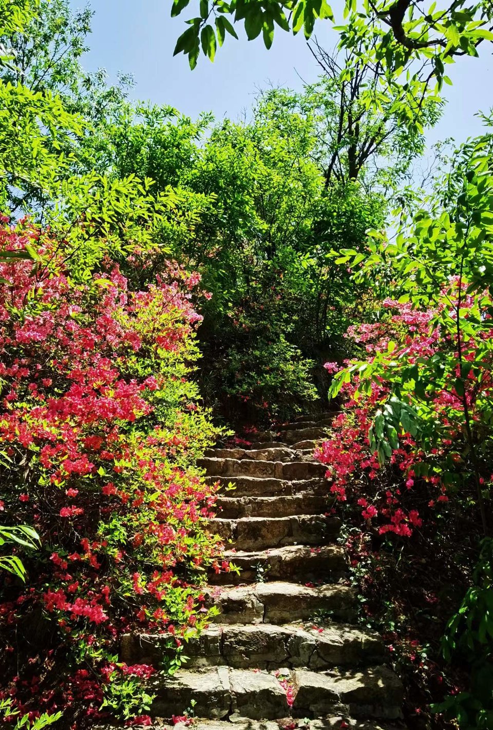 FRMn3OE-PQ1rxlkp44nRBZ3ceIhPo9uzWzQrwWv1DrtR3COySKuQRH5ZGQmO_FE-